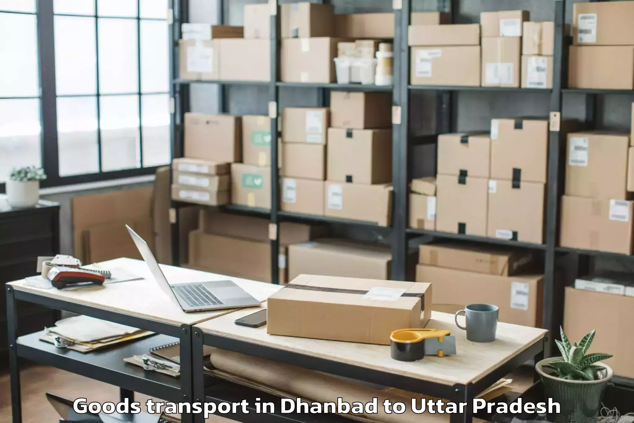 Book Dhanbad to Bisauli Goods Transport Online